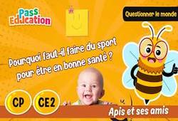 Vidéo Pourquoi faut - il faire du sport pour être en bonne santé&nbsp;? - Vidéo - Apis & ses amis : 3eme, 5ème Harmos