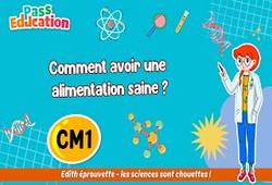 Vidéo Comment avoir une alimentation saine&nbsp;? - Vidéo - Edith Eprouvette : 6ème Harmos
