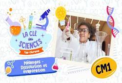 Leçon, exercice et évaluation :<br/> Les matériaux naturels et artificiels - Quiz - La Clés des Sciences : 7ème Harmos