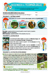 Exercice Le cycle de vie des êtres vivants - Exercices - Edith Eprouvette : 6ème Harmos - PDF à imprimer