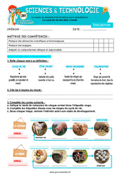 Evaluation Le cycle de vie des êtres vivants - Examen Evaluation - Edith Eprouvette : 6ème Harmos - PDF à imprimer