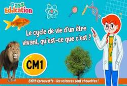 Vidéo Le cycle de vie d’un être vivant, qu’est - ce que c’est&nbsp;? - Vidéo - Edith Eprouvette : 6ème Harmos