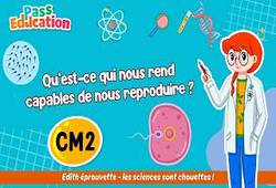 Vidéo Qu’est - ce qui nous rend capables de nous reproduire&nbsp;? - Vidéo - Edith Eprouvette : 7ème Harmos