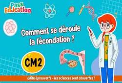 Vidéo Comment se déroule la fécondation&nbsp;? - Vidéo - Edith Eprouvette : 7ème Harmos