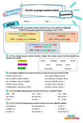 Leçon, exercice et évaluation :<br/> Enrichir un groupe nominal minimal - Exercices Pas à Pas : 5ème Harmos - PDF à imprimer