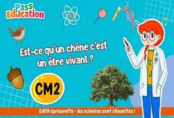 Vidéo Est - ce qu’un chêne c’est un être vivant&nbsp;? - Vidéo - Edith Eprouvette : 7ème Harmos