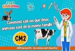 Vidéo Comment sait - on que deux animaux sont de la même famille&nbsp;? - Vidéo - Edith Eprouvette : 7ème Harmos