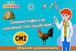 Vidéo Comment réalise - t - on exactement cette classification&nbsp;? - Vidéo - Edith Eprouvette : 7ème Harmos