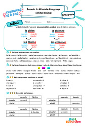Leçon, exercice et évaluation :<br/> Accorder les éléments d’un groupe nominal minimal - Exercices Pas à Pas : 5ème Harmos - PDF à imprimer