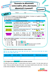 Reconnaitre les déterminants (article indéfini, défini, déterminants démonstratif et possessif) - Exercices Pas à Pas : 9eme Harmos - PDF à imprimer