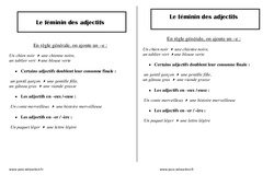 Féminin des adjectifs - Cours, Leçon : 4ème Harmos - PDF gratuit à imprimer