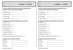 Singulier et pluriel dans le  groupe nominal - Exercices : 4ème Harmos - PDF à imprimer