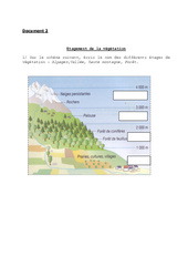 Etagement de la végétation - Exercices : 5ème, 6ème Harmos - PDF à imprimer