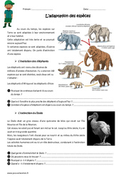 Adaptation des espèces - Exercices : 6ème, 7ème Harmos - PDF à imprimer