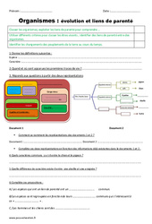 Evaluation Organismes - Liens de parenté et évolution - Examen Evaluation : 6ème, 7ème Harmos - PDF à imprimer