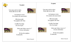 La puce - Poésie animaux - Français : 4ème Harmos - PDF à imprimer