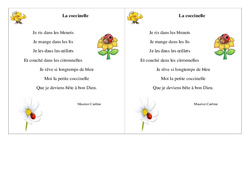 Poésie - La coccinelle -   Français : 4ème Harmos - PDF à imprimer