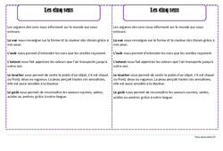 Les 5 sens - Corps humain - Cours, Leçon : 4ème Harmos - PDF gratuit à imprimer