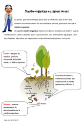 Matière organique et plantes vertes - Exercices : 6ème, 7ème Harmos - PDF à imprimer