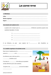 Plantes vertes - Cours, Leçon : 6ème, 7ème Harmos - PDF à imprimer