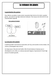 Croissance des plantes - Les végétaux - Cours, Leçon : 4ème Harmos - PDF gratuit à imprimer