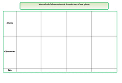Mon relevé d'observations de la croissance d'une plante - Les végétaux - Exercices - Découverte du monde : 4ème Harmos - PDF à imprimer