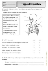 Exercice Appareil respiratoire - Respiration - Exercices - Découverte du monde : 4ème Harmos - PDF à imprimer