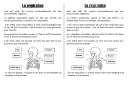 Respiration - Cours, Leçon : 4ème Harmos - PDF gratuit à imprimer