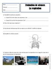 Respiration - Examen Evaluation : 4ème Harmos - PDF à imprimer