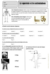 Squelette - Articulations - Corps Humain - Exercices - Découverte du monde : 4ème Harmos - PDF à imprimer