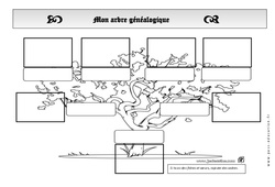 Arbre généalogique - Générations - Exercices - Espace temps : 4ème Harmos - PDF à imprimer