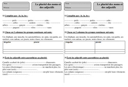 Pluriel- Fiches Noms - Adjectifs - Exercices - Orthographe : 4ème Harmos - PDF à imprimer