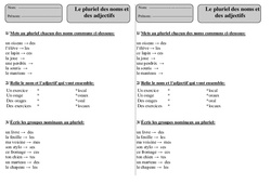 Pluriel- Fiches Noms - Adjectifs - Exercices 2 - Orthographe : 4ème Harmos - PDF à imprimer