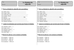 Féminin des adjectifs - Exercices 2 - Orthographe : 4ème Harmos - PDF à imprimer