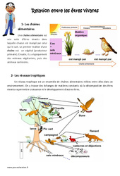 Relation entre les êtres vivants - Exercices : 6ème, 7ème Harmos - PDF à imprimer