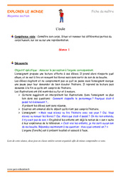 L’ouïe - Séquence - Fiche de préparation : 1ère Harmos - PDF à imprimer
