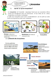 Ecosystème - Exercices : 6ème, 7ème Harmos - PDF à imprimer