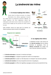 Biodiversité des rivières - Exercices : 6ème, 7ème Harmos - PDF à imprimer