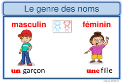 Genre et nombre - Affiche pour la classe : 4ème, 5ème Harmos - PDF à imprimer