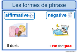 Formes de phrases - Affiche pour la classe : 4ème, 5ème Harmos - PDF à imprimer