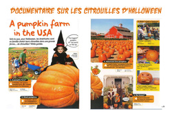 Citrouilles d'halloween - Texte documentaire - Lecture - Vie de la classe : 4ème, 5ème, 6ème, 7ème Harmos - PDF à imprimer