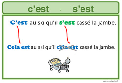 Homophones grammaticaux - Affiche pour la classe : 3eme, 4ème, 5ème, 6ème, 7ème Harmos - PDF à imprimer