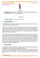 Séquence - Fiche de préparation Odorat - Séquence - Fiche de préparation : 1ère Harmos - PDF à imprimer