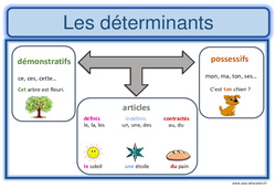 Déterminants - Affiche pour la classe : 6ème Harmos - PDF à imprimer