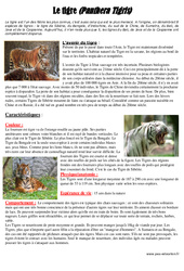 Les tigres - Documentaire - Lecture : 6ème, 7ème Harmos - PDF à imprimer