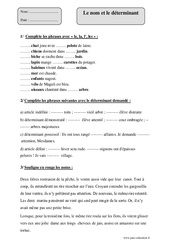 Nom - Déterminant - Exercices corrigés - Grammaire : 7ème Harmos - PDF à imprimer