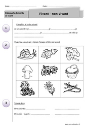 Vivant - Non vivant - Exercices - Découverte du monde : 3eme Harmos - PDF à imprimer