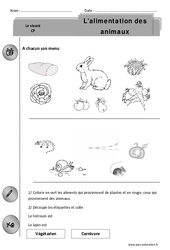 Alimentation des animaux - Exercices - Découverte du monde : 3eme Harmos - PDF à imprimer