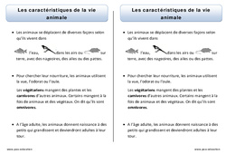 Caractéristiques de la vie animale - Trace écrite - Découverte du monde - Cours, Leçon : 3eme Harmos - PDF gratuit à imprimer