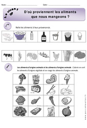 Aliments que nous mangeons - Exercices - Découverte du monde : 3eme Harmos - PDF à imprimer